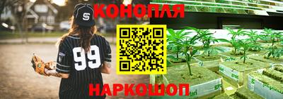 мдпв Кимры