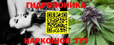 мдпв Кимры