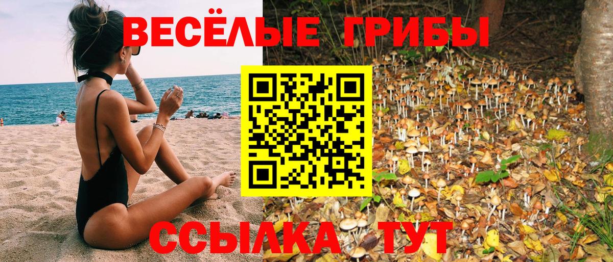 Псилоцибиновые грибы MAGIC MUSHROOMS  Галлюциногенные грибы Psilocybe  Вход с VPN  Красный Сулин 